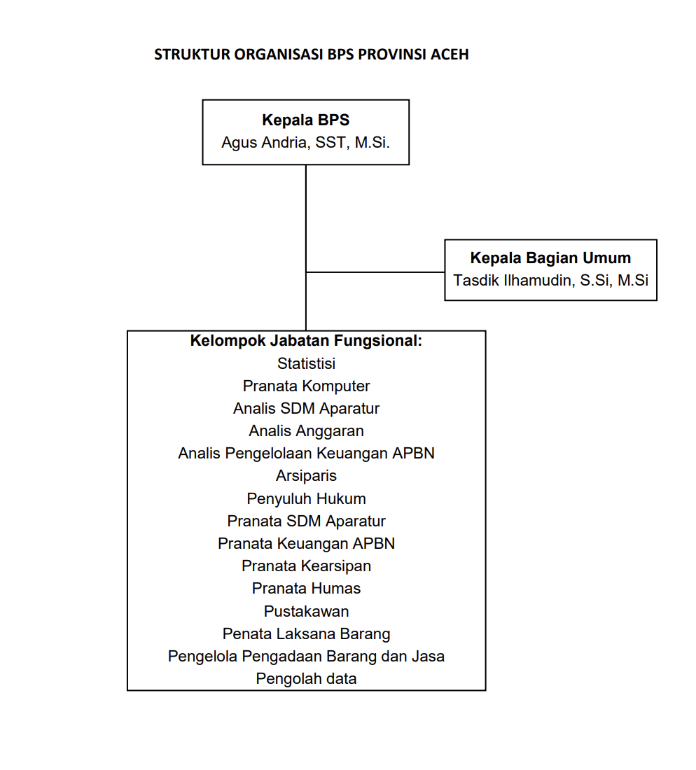 STRUKTUR ORGANISASI BPS PROVINSI ACEH.png