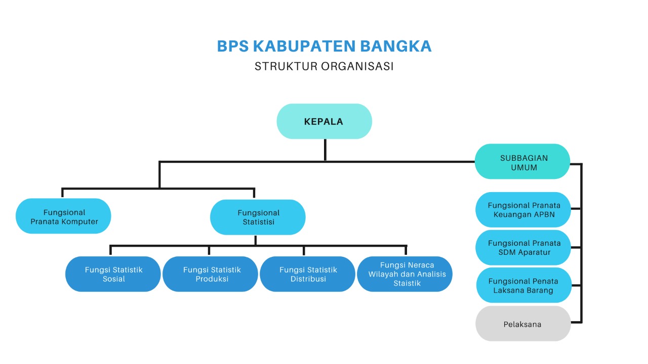 Struktu Organisasi BPS Kabupaten Bangka